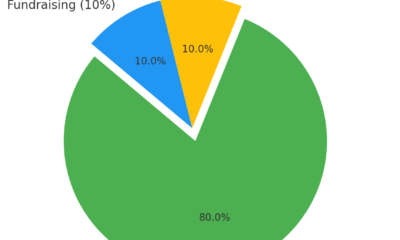 Charity Rating for Easter Seals: Financial Transparency & Impact
