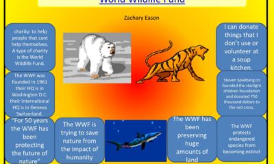 World Wildlife Foundation Charity Rating